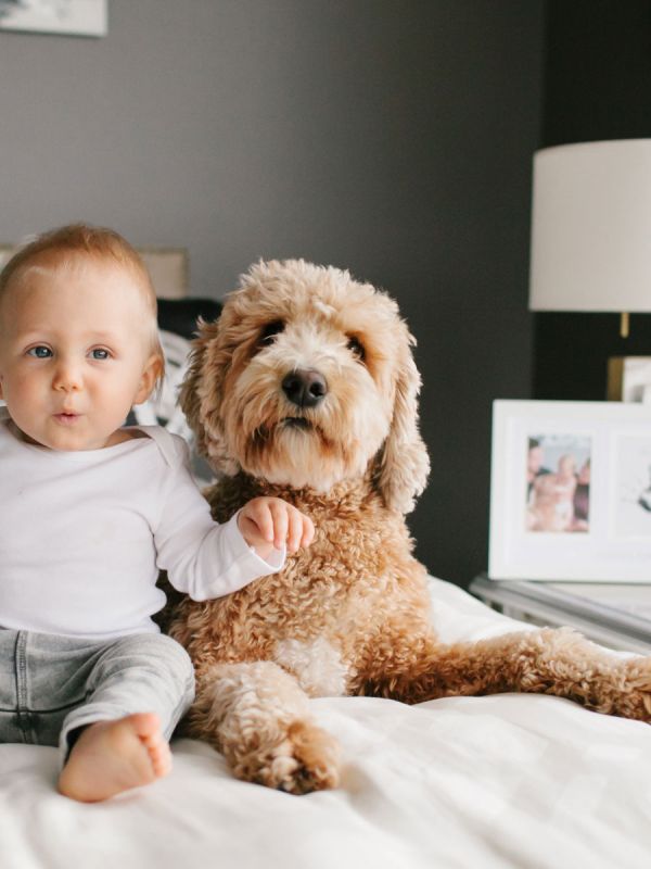 Best Friends Forever -kehys – Lapsi & Lemmikki