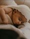 ILADO Baby Cocoon toukkapussi vauvalle, Ecru