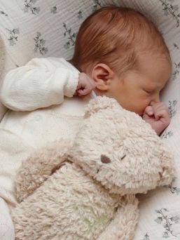 Moonie uninalle rauhoittaa vauvasi unille - rauhoittava Pink noise -kohina ja himmeä yövalo auttavat haastavissakin unitilanteissa. Uninalle toimii myös yövalona ilman ääntä