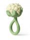 Oli&Carol Cauliflower helistin