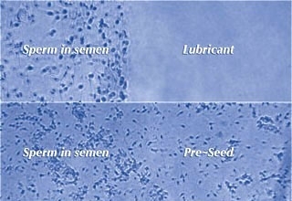PRESEED siittiöystävällinen liukuvoide 