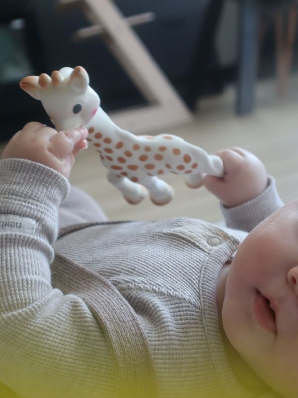 Sophie The Giraffe luomupurulelu