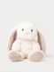 Teddykompaniet Teddy Mocca 25cm – beige pehmopupu