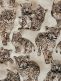Vaunuverho, leopardin pennut