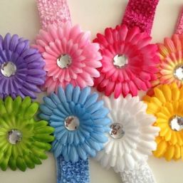 Vauvan pääpanta, big flower